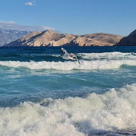 Carpe Diem Διαμέρισμα *